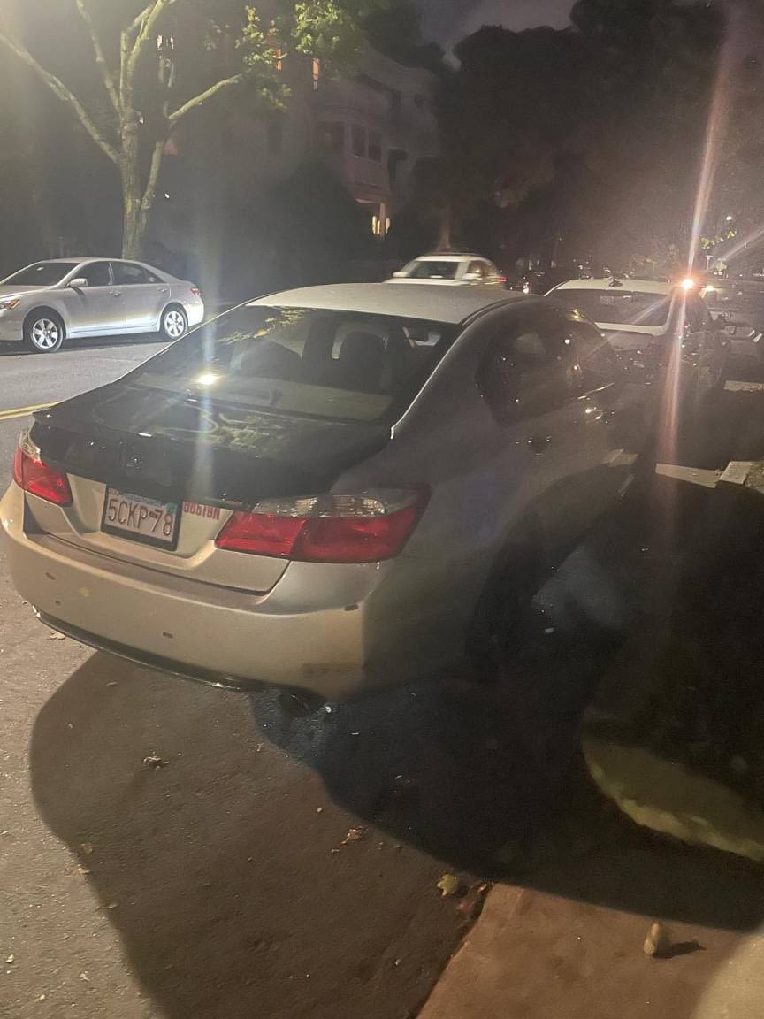 Image submitted with report