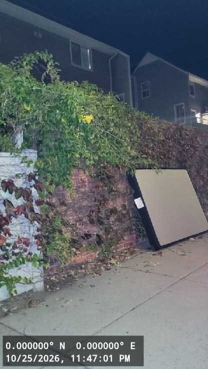 Image submitted with report