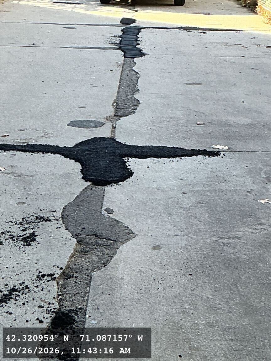 Image submitted with report