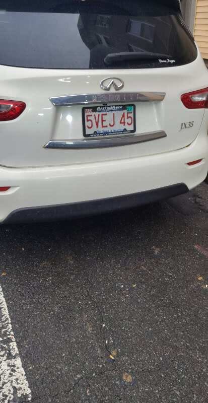 Image submitted with report