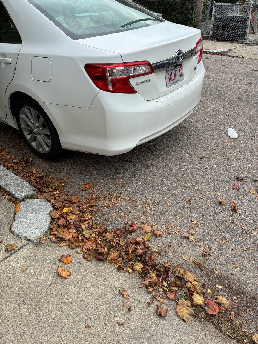 Image submitted with report