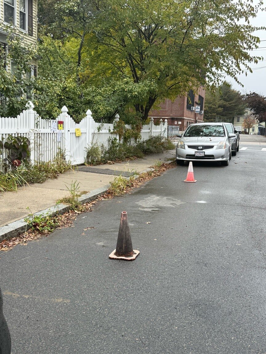 Image submitted with report