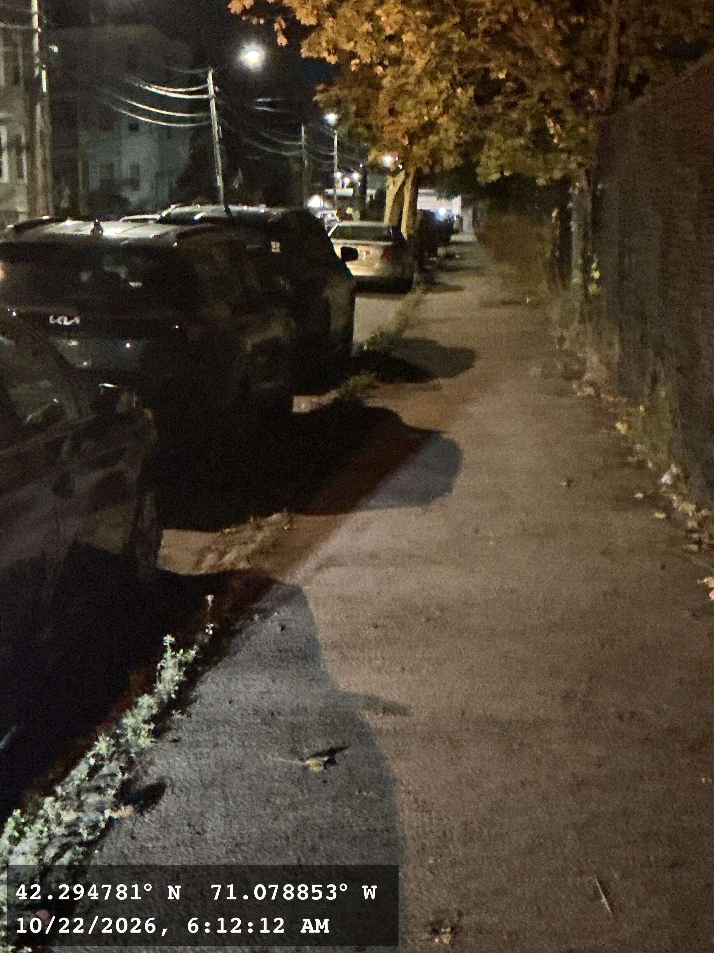 Image submitted with report