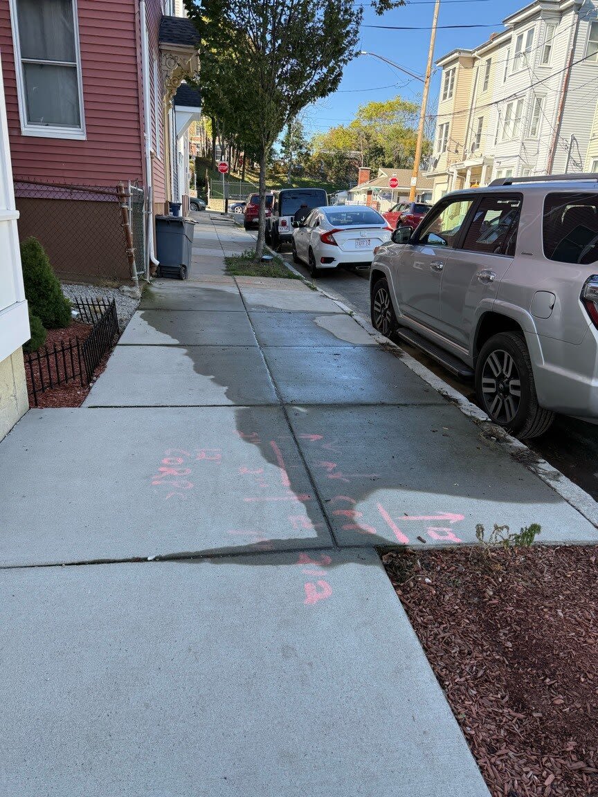 Image submitted with report