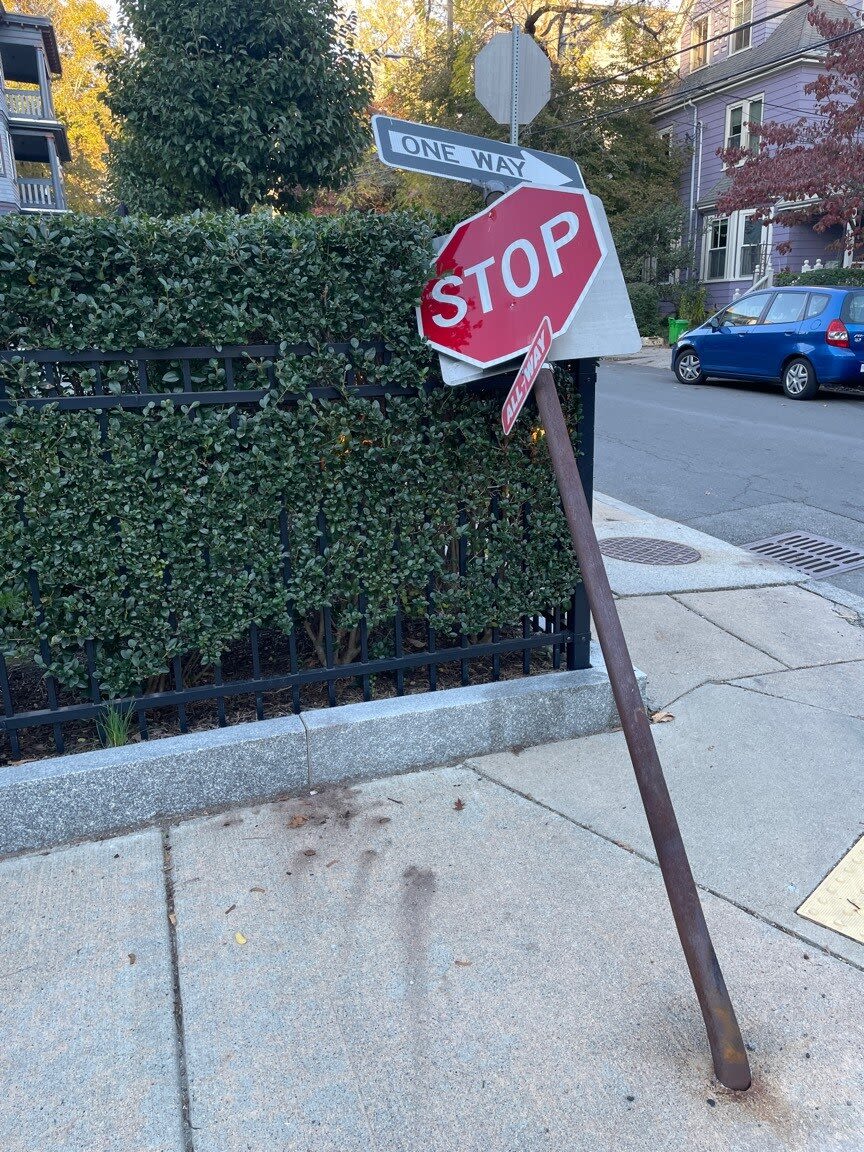 Image submitted with report