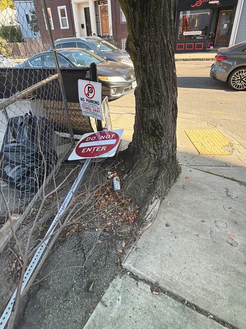 Image submitted with report