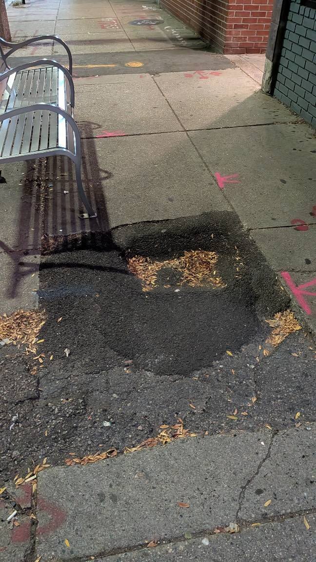 Image submitted with report