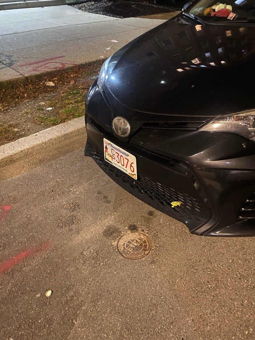 Image submitted with report