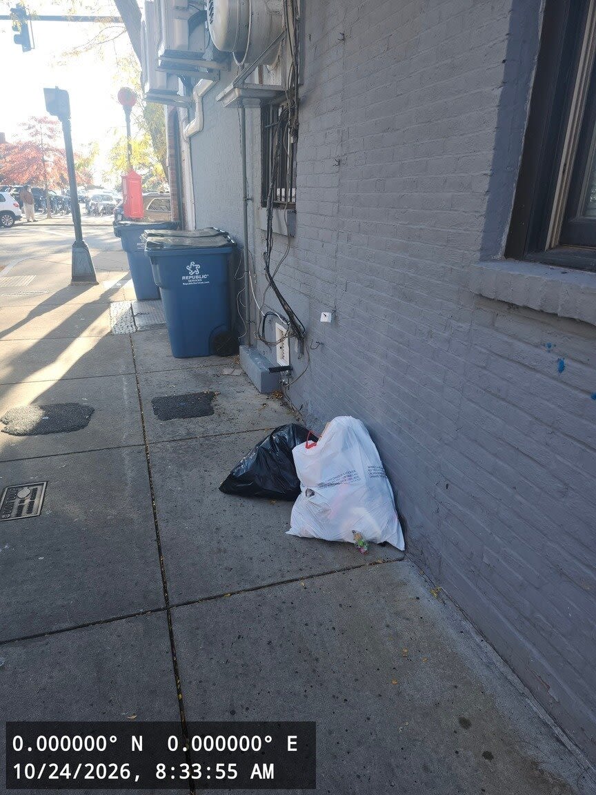 Image submitted with report