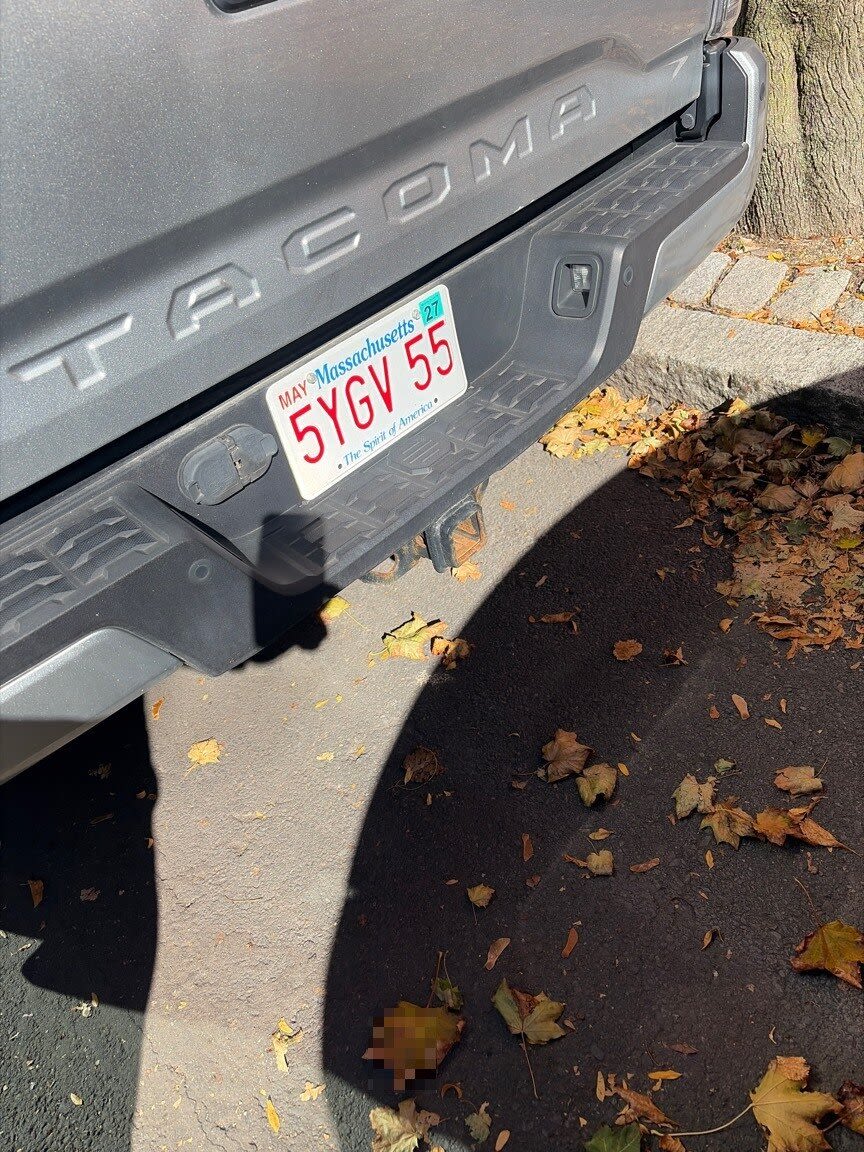 Image submitted with report