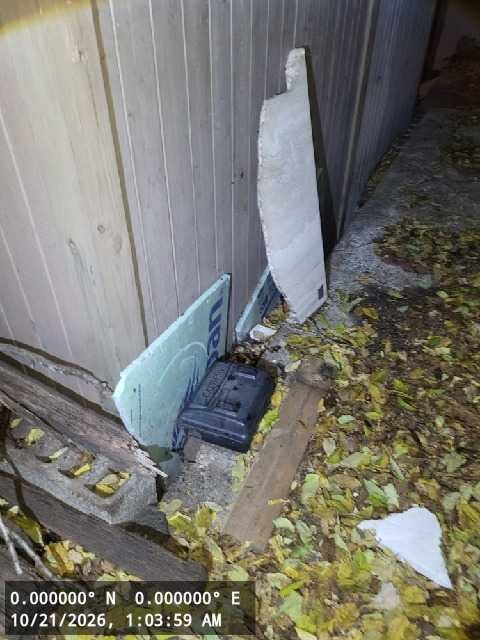 Image submitted with report