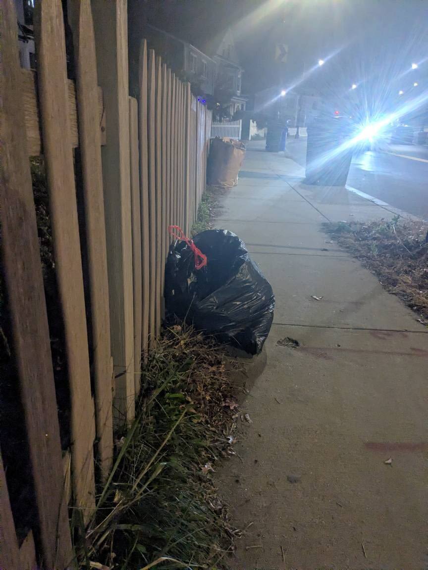 Image submitted with report