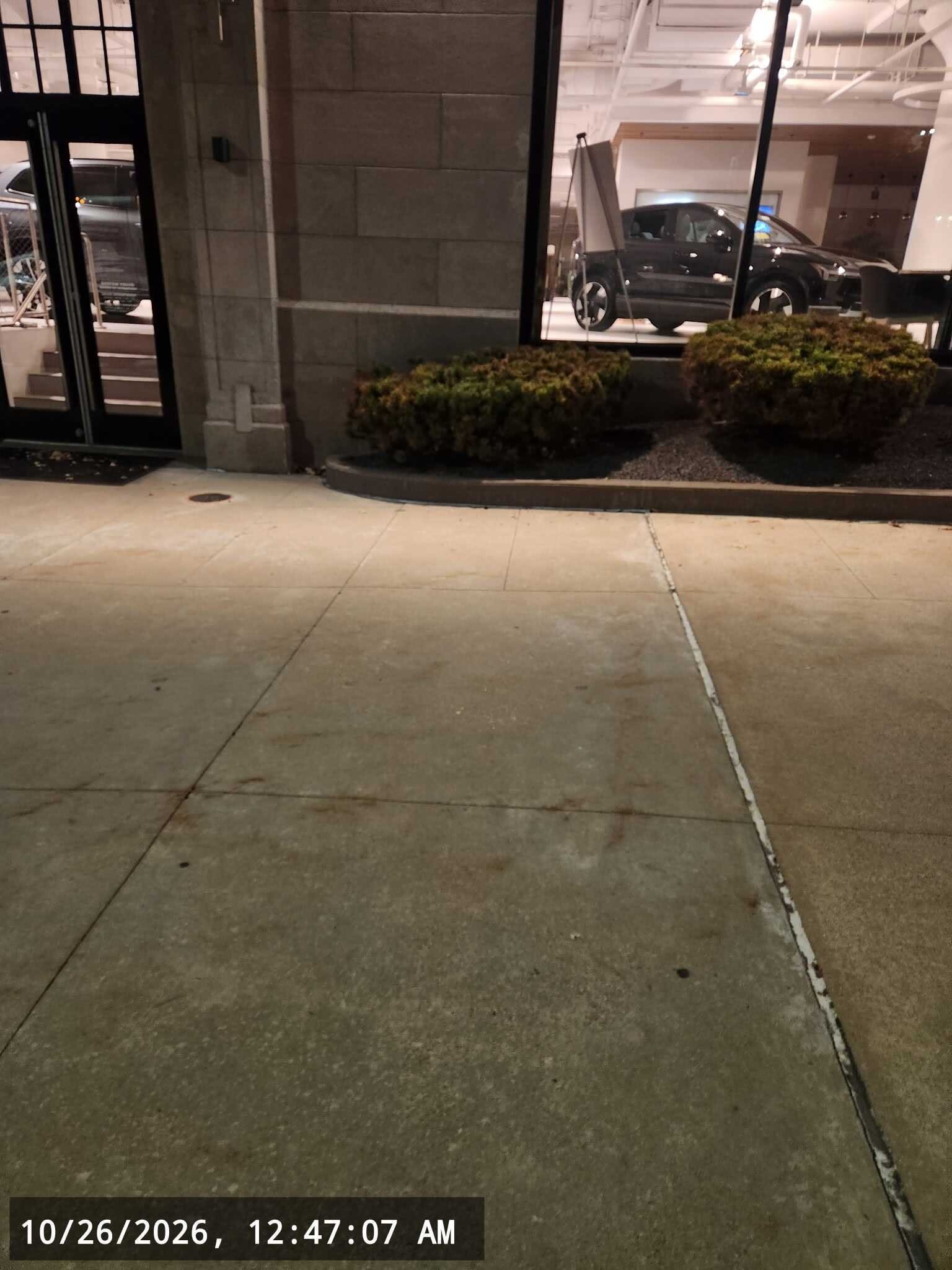 Image submitted with report