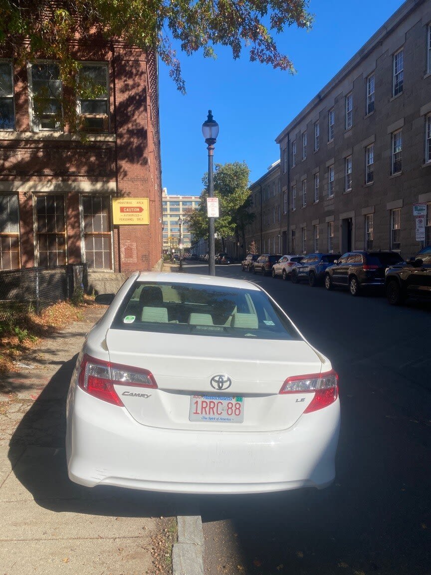 Image submitted with report