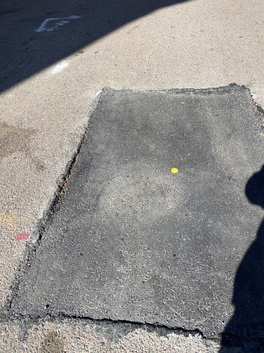 Image submitted with report
