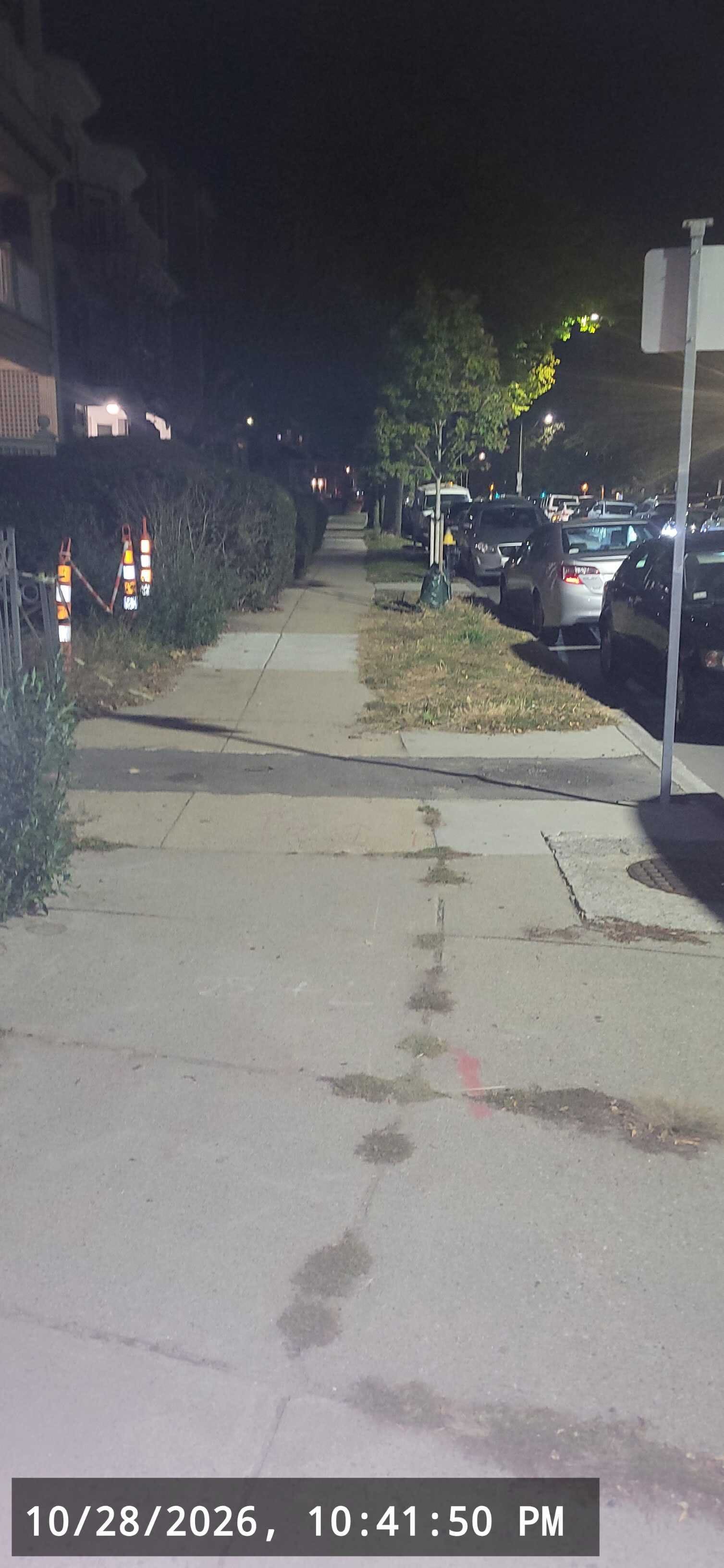 Image submitted with report