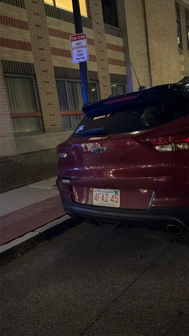 Image submitted with report