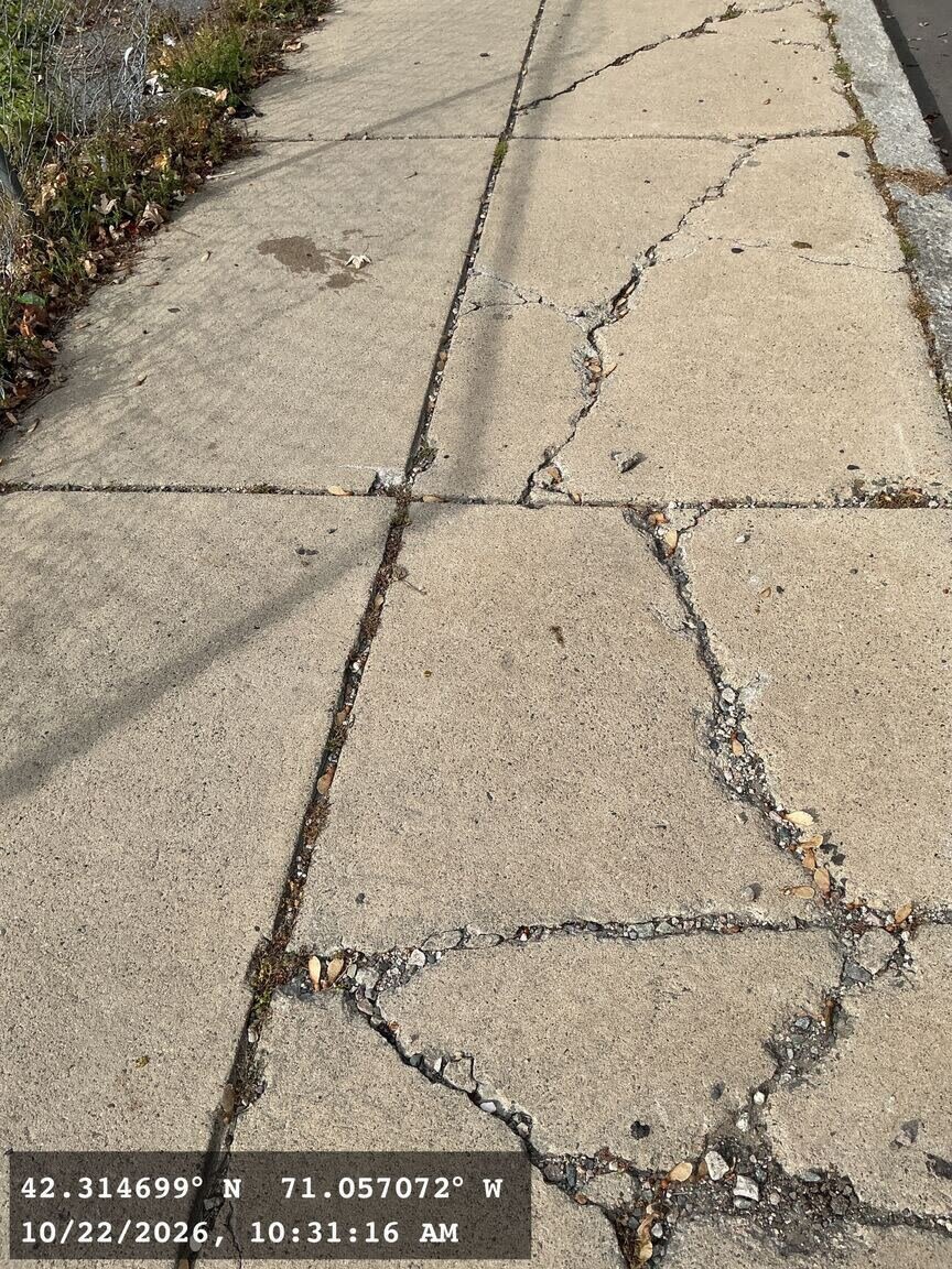 Image submitted with report