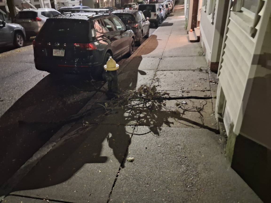 Image submitted with report