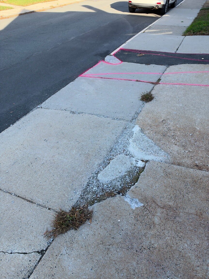 Image submitted with report