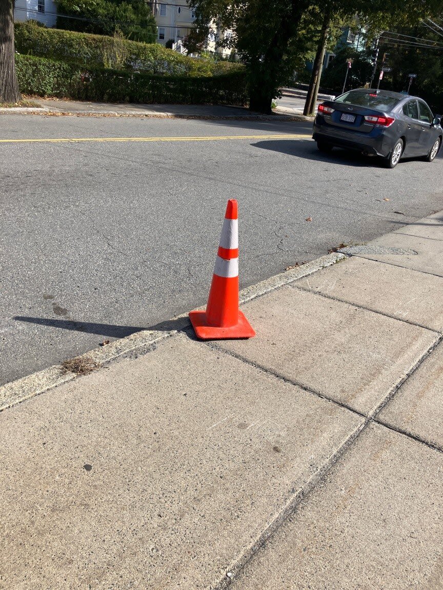 Image submitted with report