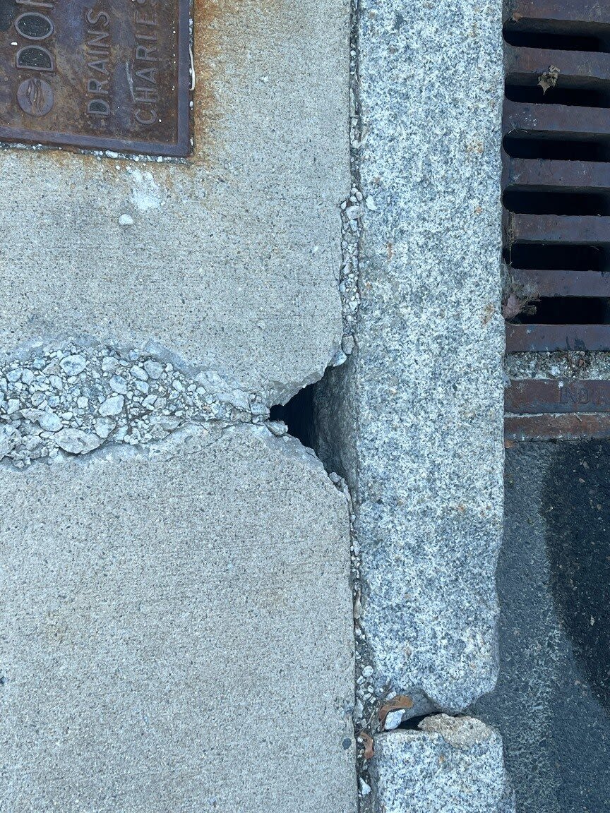 Image submitted with report