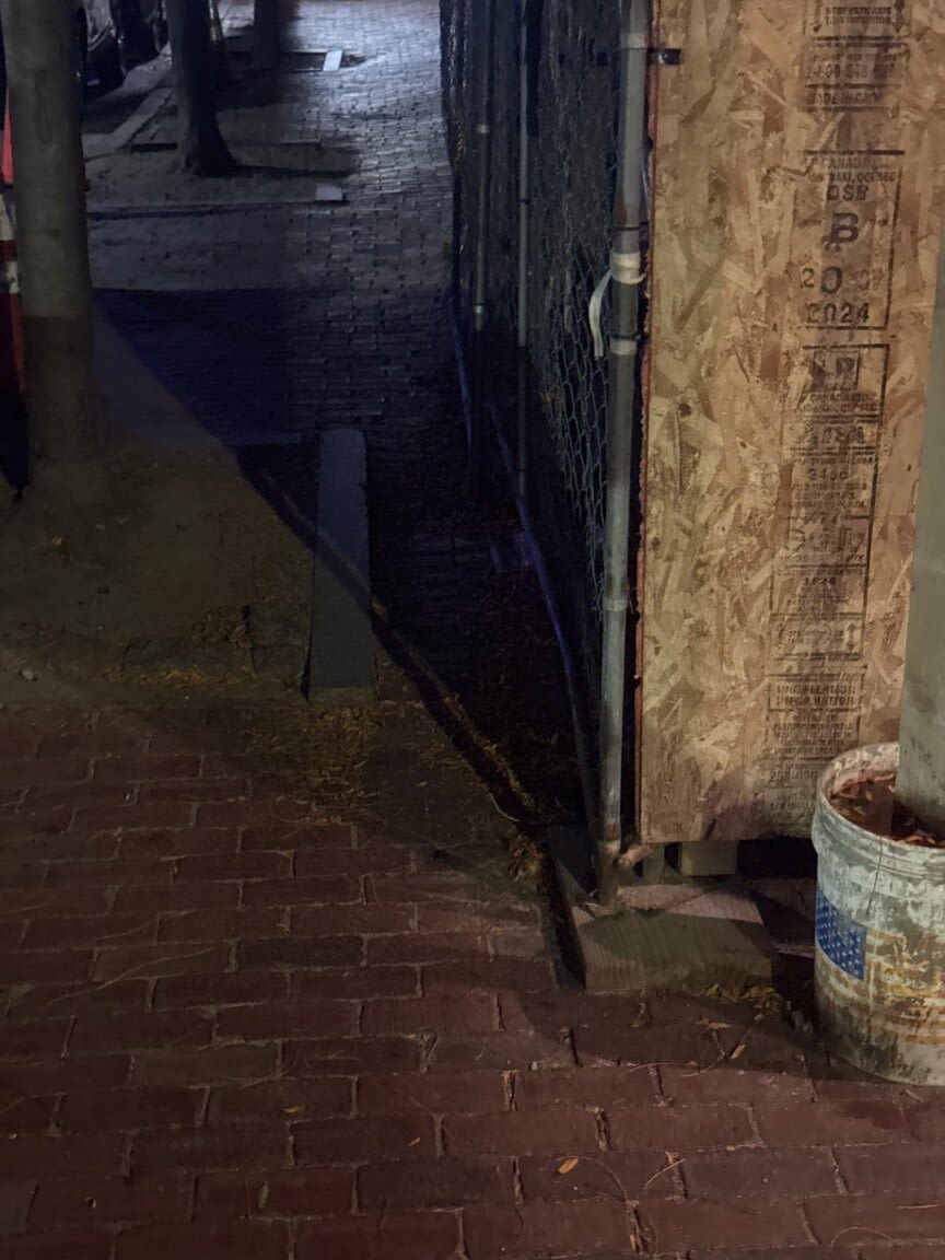 Image submitted with report