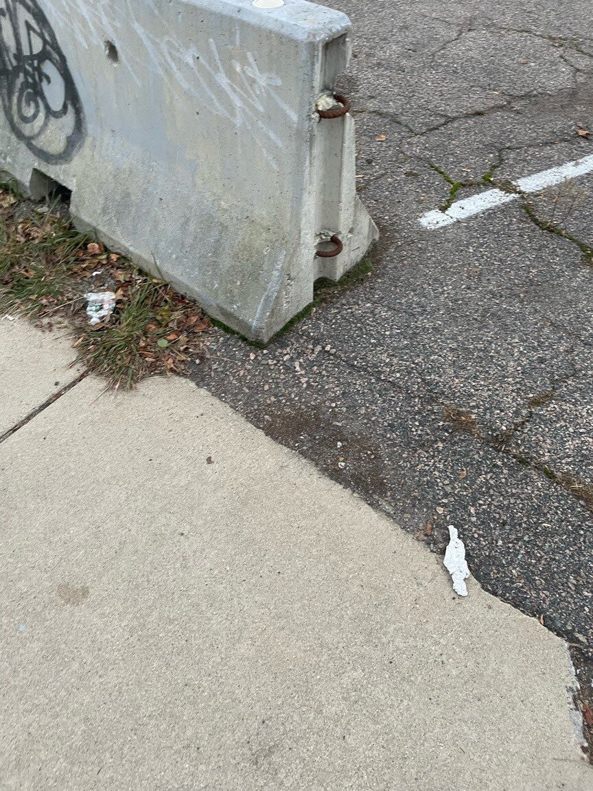 Image submitted with report