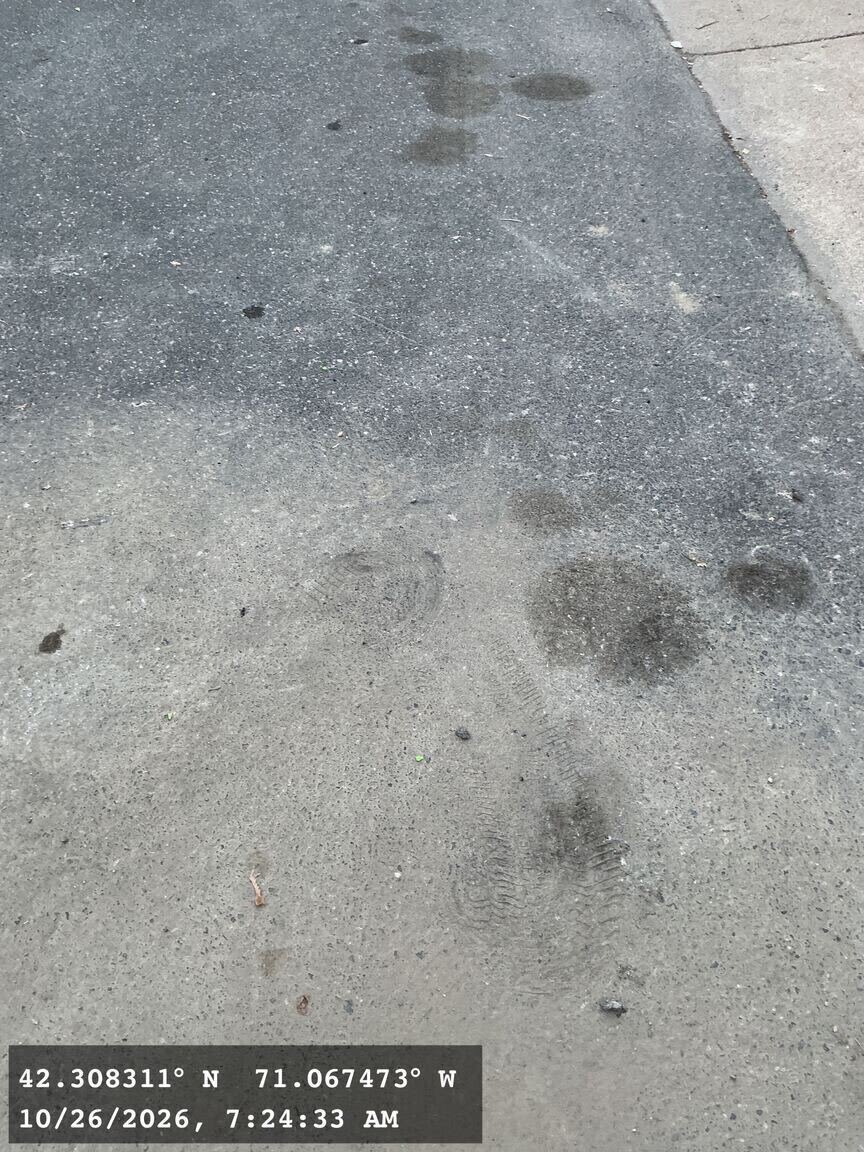 Image submitted with report