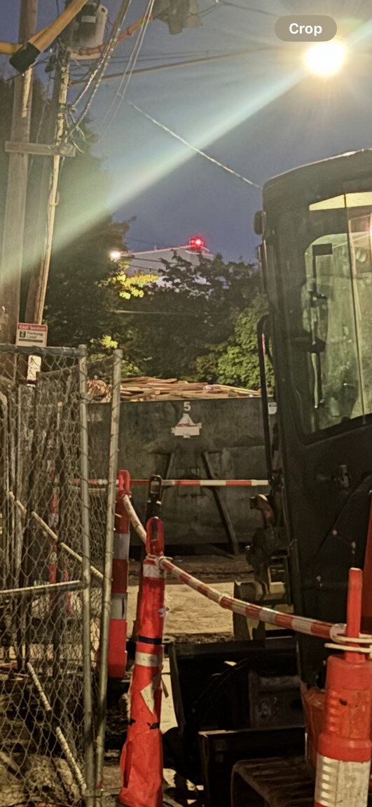 Image submitted with report