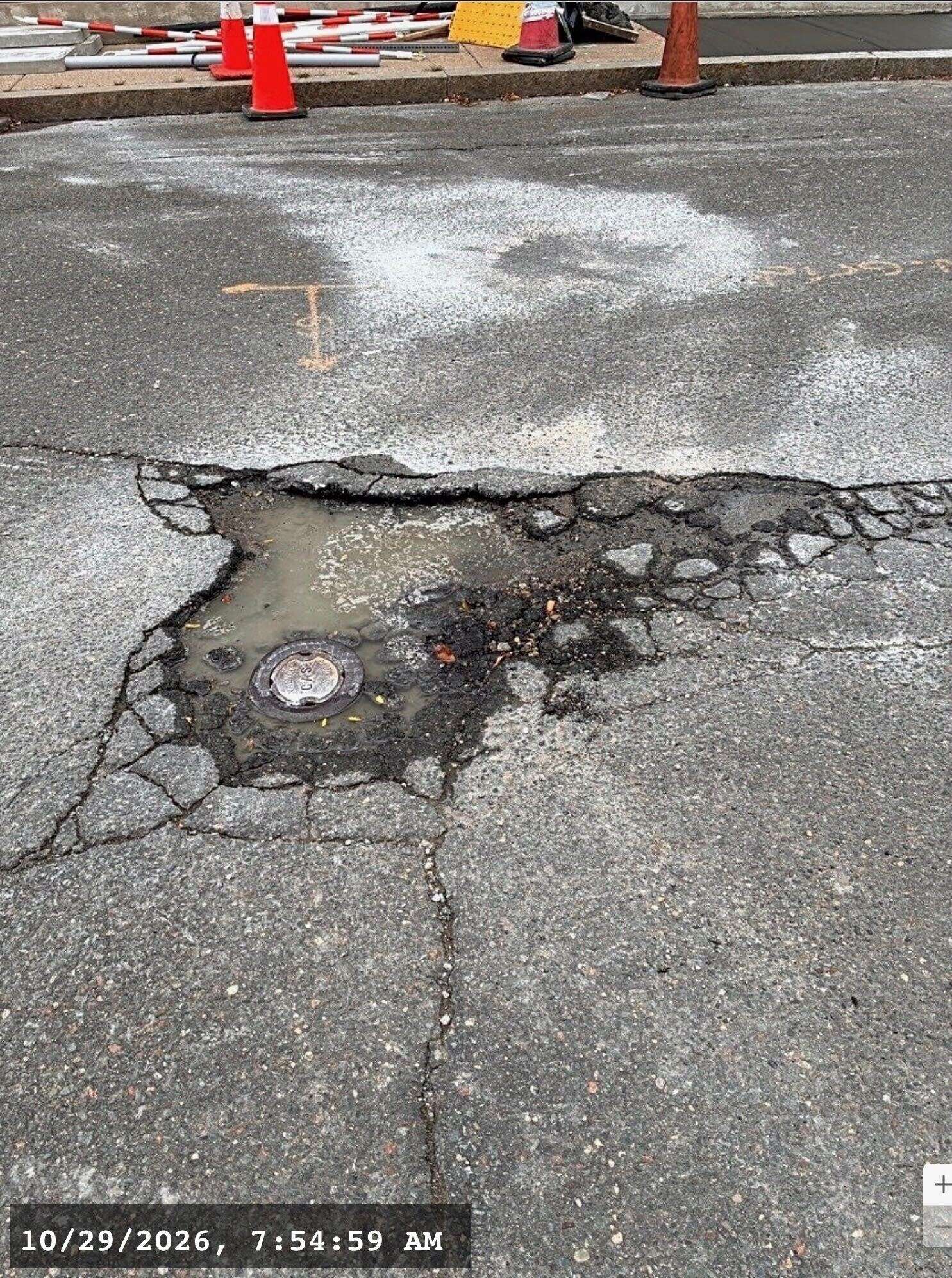 Image submitted with report