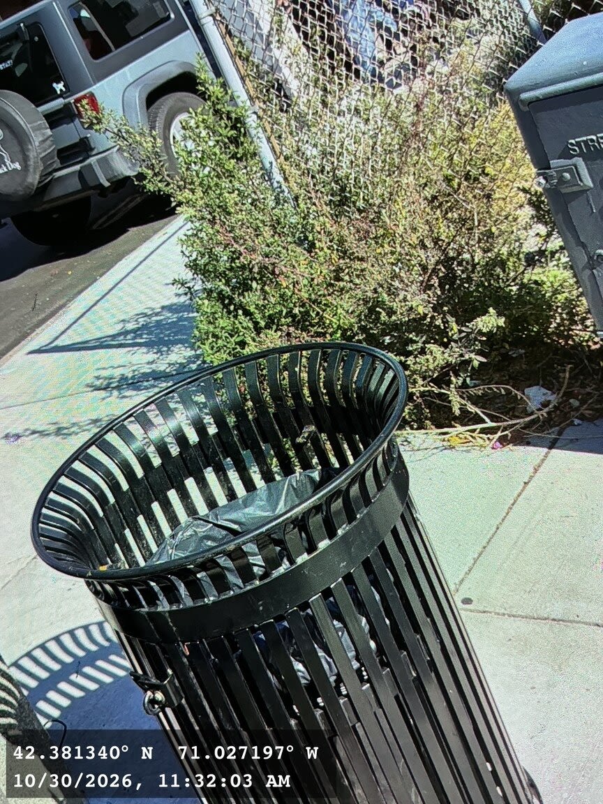 Image submitted with report