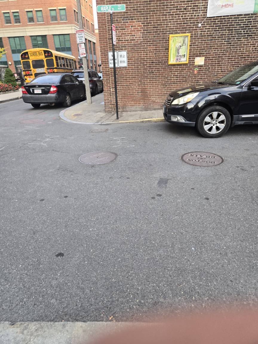 Image submitted with report