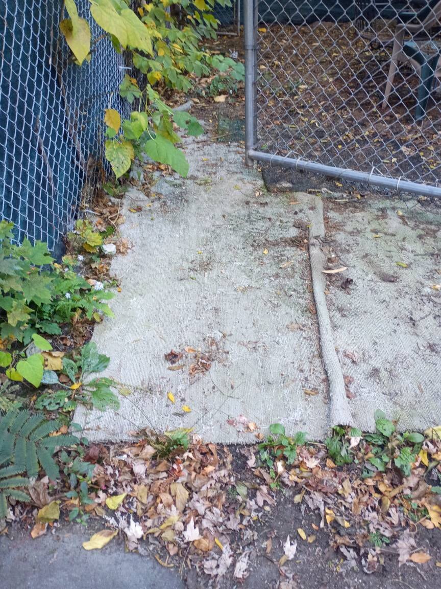 Image submitted with report