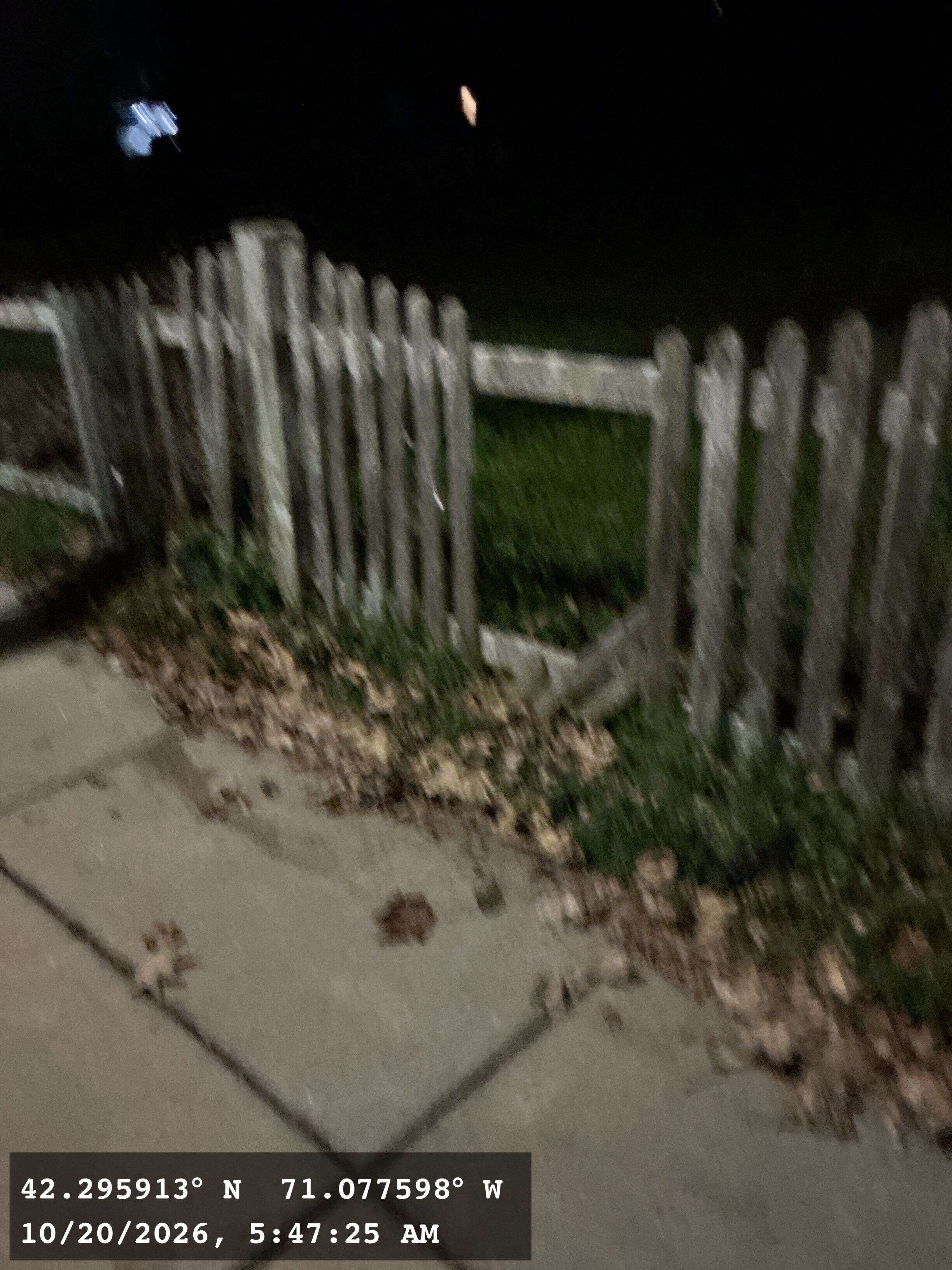 Image submitted with report