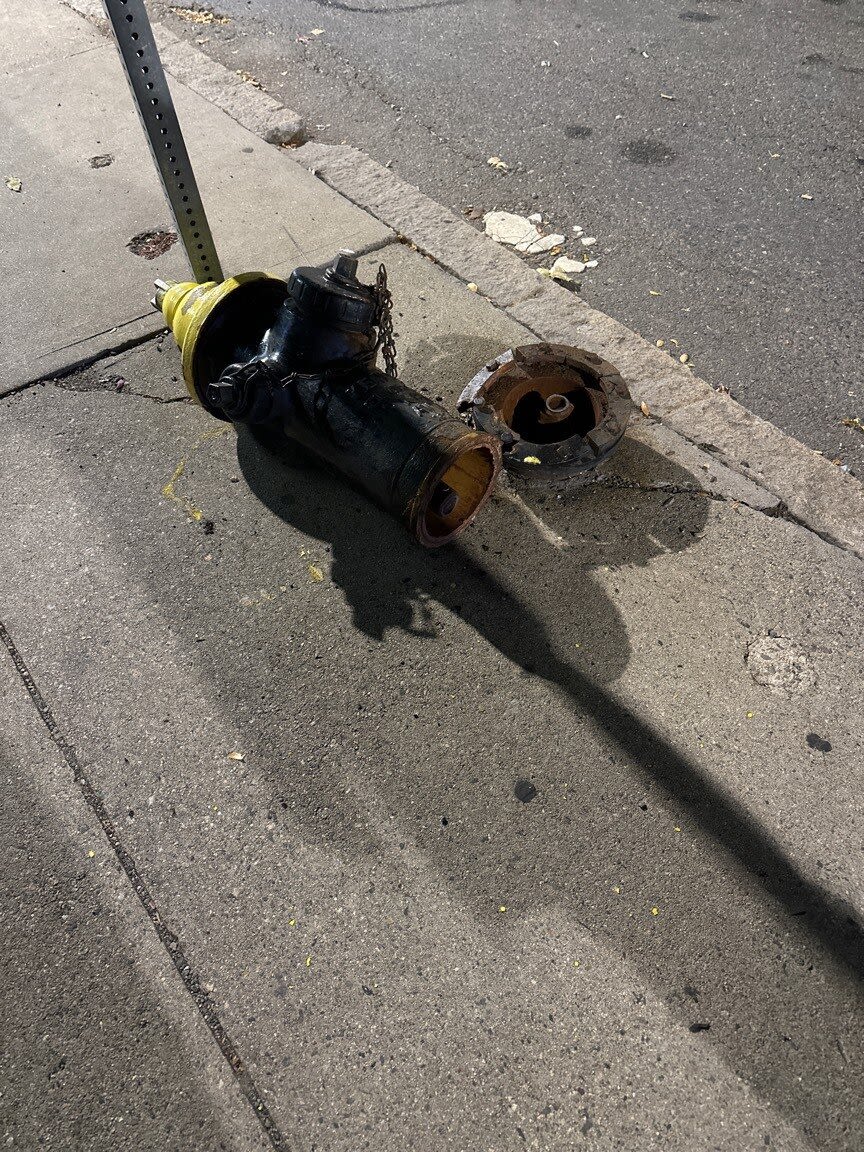 Image submitted with report