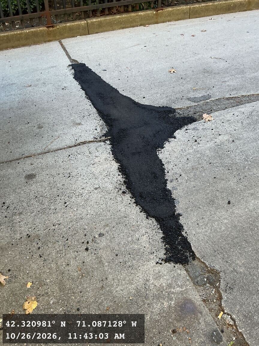 Image submitted with report