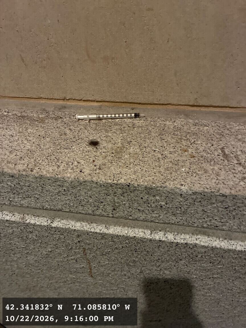 Image submitted with report