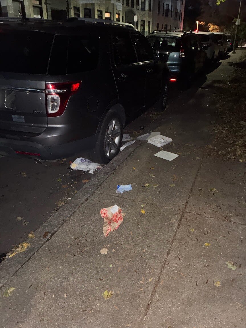 Image submitted with report