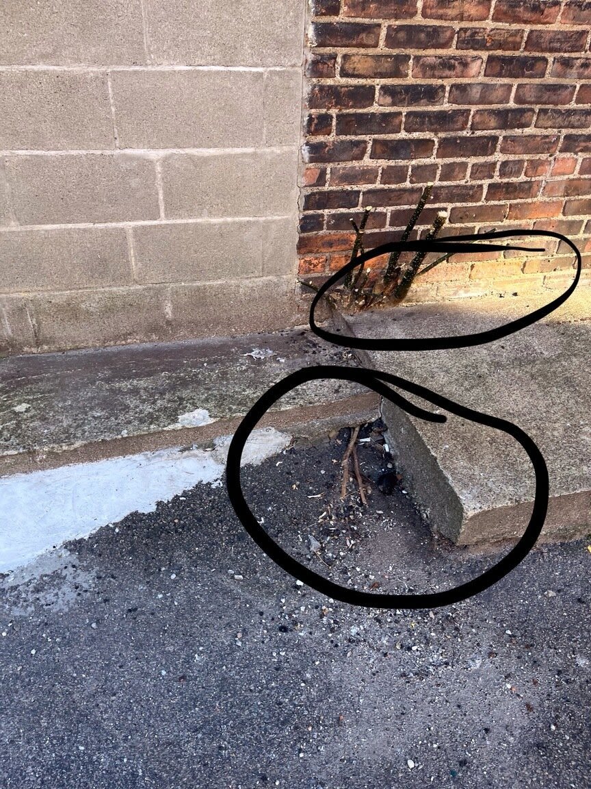 Image submitted with report