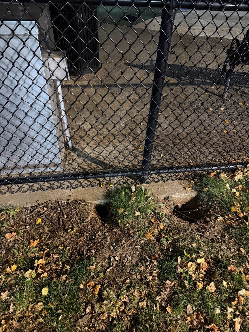 Image submitted with report