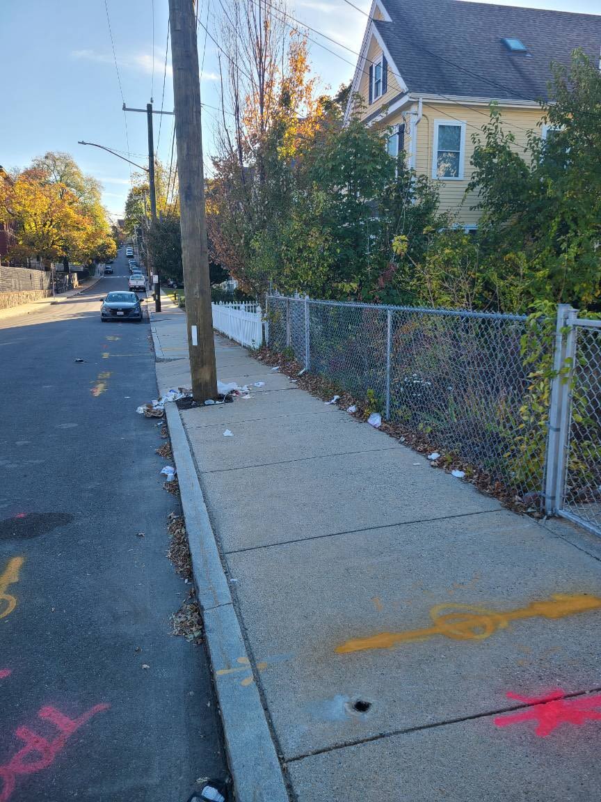 Image submitted with report