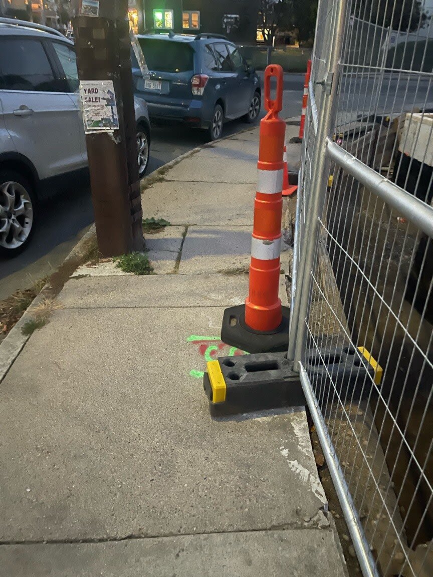 Image submitted with report
