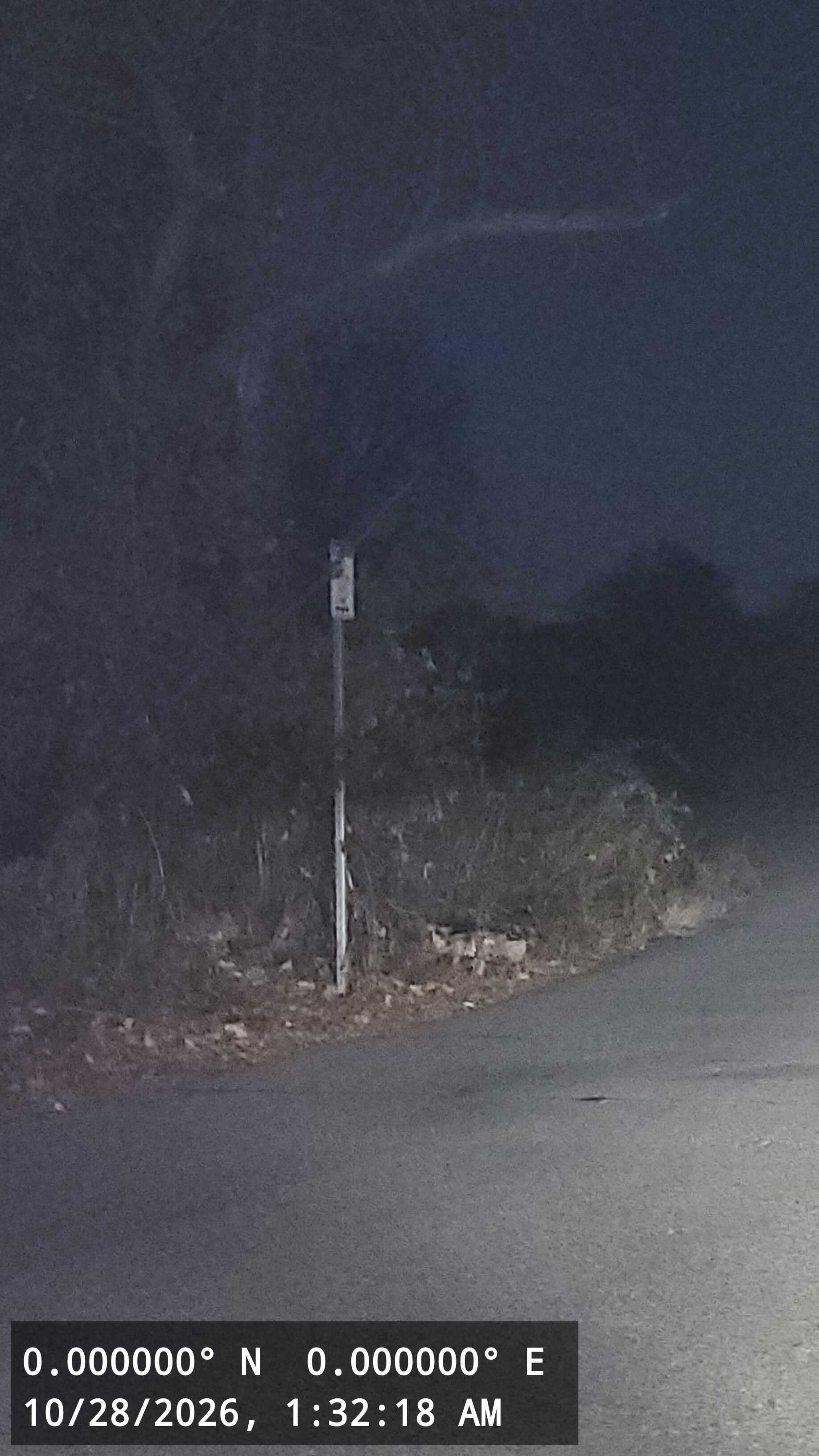 Image submitted with report