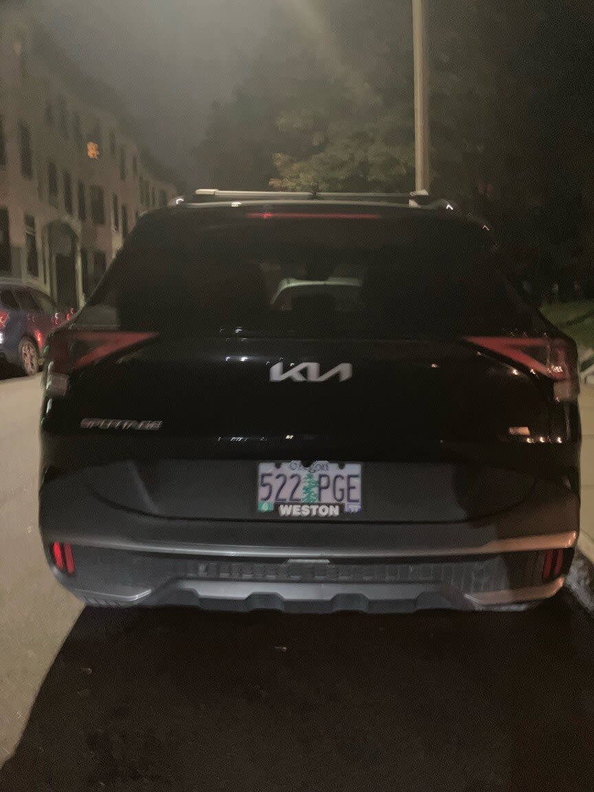Image submitted with report