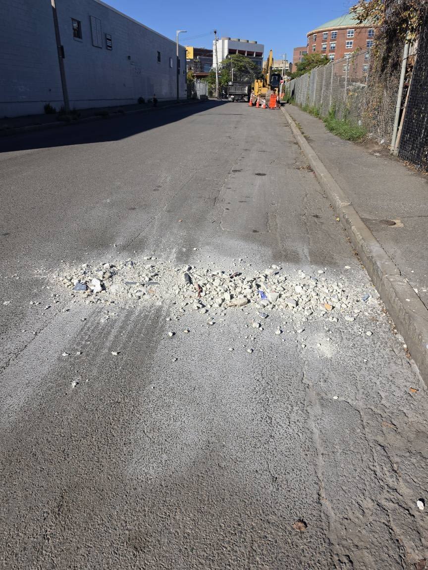 Image submitted with report