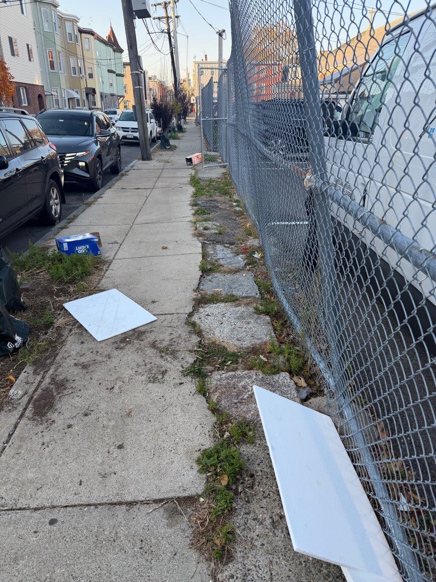 Image submitted with report