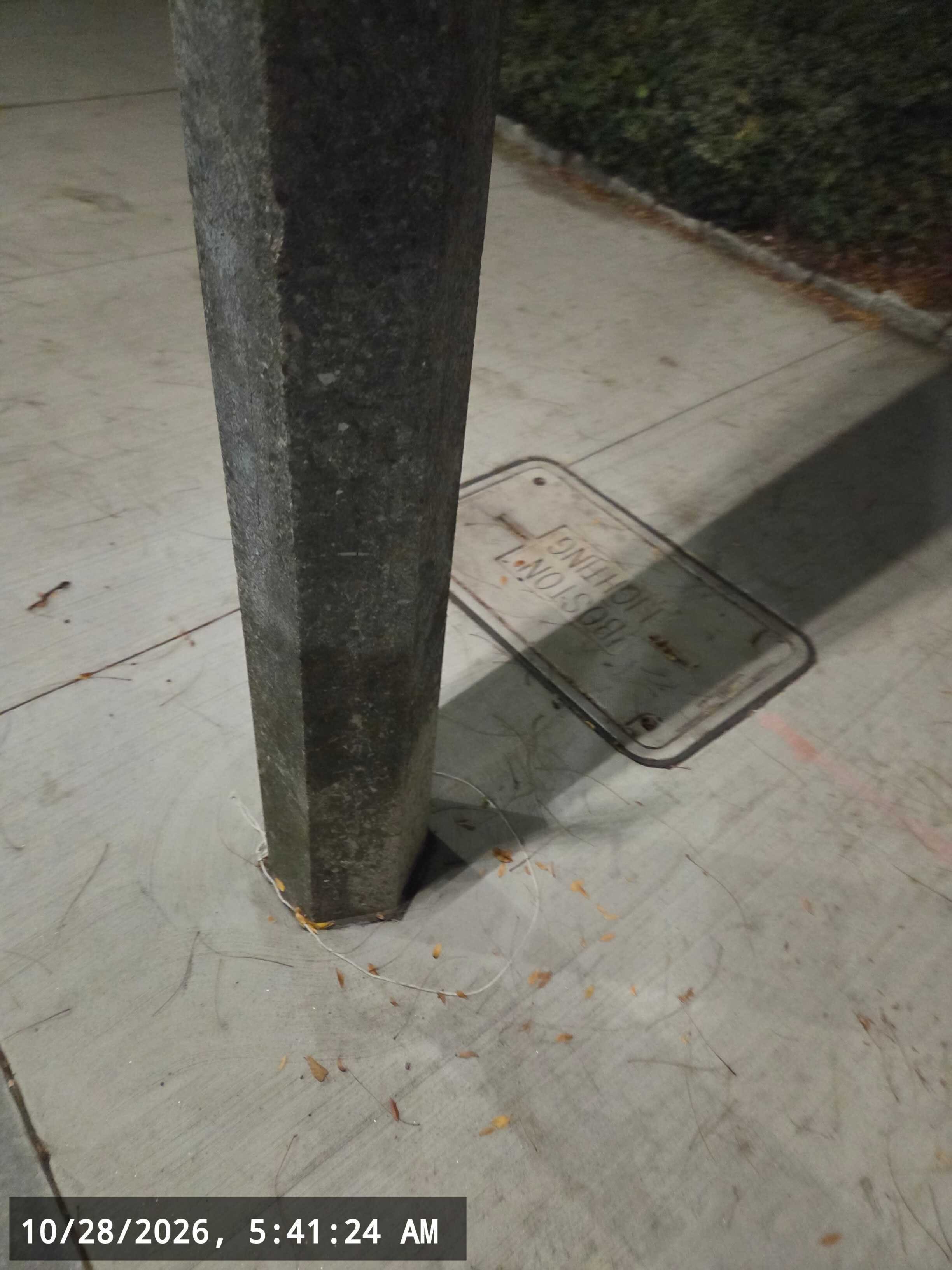 Image submitted with report