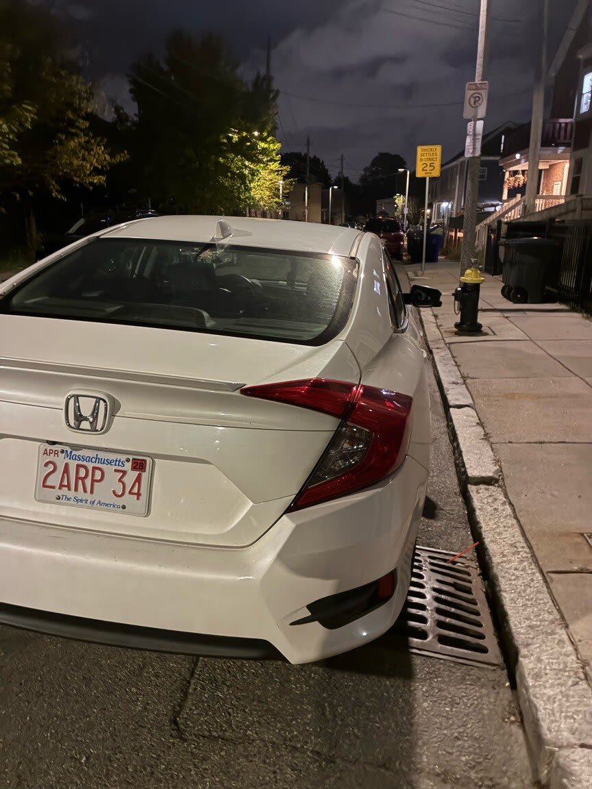 Image submitted with report