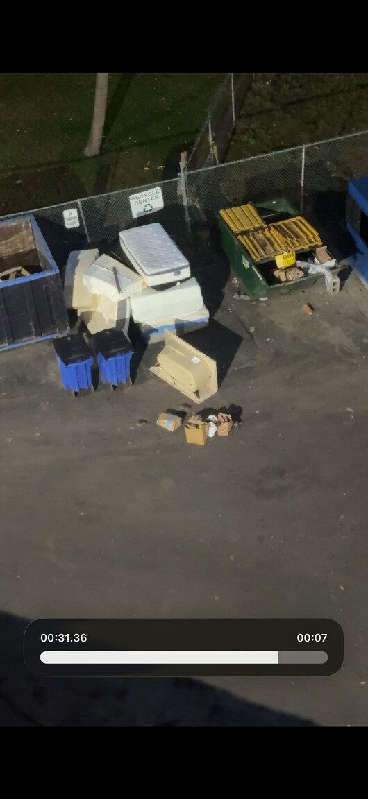 Image submitted with report